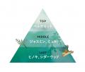 BOTANISTから、1プッシュで“たっぷり3倍泡*1”の【薬用 BOTANISTから、1プッシュで“たっぷり3倍泡*1”の【薬用