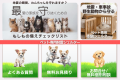 【防災の日企画】避難所に入れないペットをどう守る? 【防災の日企画】避難所に入れないペットをどう守る?