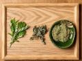 信州でよもぎを育てるYOMOGI BASE、『全国薬草フェス 信州でよもぎを育てるYOMOGI BASE、『全国薬草フェス