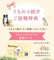 ペットコミュニティ「フォトレコペットパーク」オープ ペットコミュニティ「フォトレコペットパーク」オープ