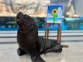 【仙台うみの杜水族館】青空の台紙に大輪のヒマワリ　