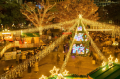 TOW、横浜公園および周辺エリアのクリスマスイベント TOW、横浜公園および周辺エリアのクリスマスイベント