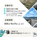 佐賀県鹿島市、市民参加型のInstagram投稿キャンペー