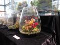 涼しい館内で100種以上の食虫植物を観察できる！パル