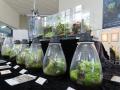 涼しい館内で100種以上の食虫植物を観察できる！パル
