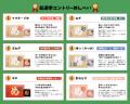 【めんべい25周年プロジェクト×乃木坂配信中】乃木坂4 【めんべい25周年プロジェクト×乃木坂配信中】乃木坂4