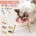 8月8日「世界猫の日」限定！穴あけ不要にゃんウォール