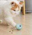 忙しい毎日でも猫との時間を楽しみたい。そんな想いか