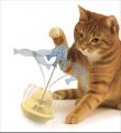 忙しい毎日でも猫との時間を楽しみたい。そんな想いか