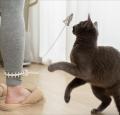 忙しい毎日でも猫との時間を楽しみたい。そんな想いか
