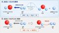 量子化学計算 DFTB+ による H2 × ・OH 反応機構と化学 量子化学計算 DFTB+ による H2 × ・OH 反応機構と化学
