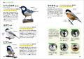 大好評の持ち歩きしやすい野鳥図鑑を最新の分類に従っ 大好評の持ち歩きしやすい野鳥図鑑を最新の分類に従っ