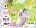 今年も発売！三吉良典さんによる「にゃっぷる」カレン