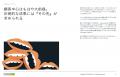 博報堂DYホールディングス・ENND PARTNERS、組織の 博報堂DYホールディングス・ENND PARTNERS、組織の