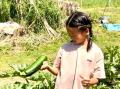 【静岡県】こどもの居場所プロジェクトへの寄附募集開