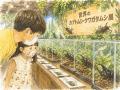 山口県宇部市に『世界のカブクワ展』がやってくる！