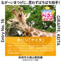 8月8日「ぱちぱちまつ毛の日」に異色コラボが実現！！