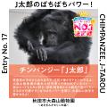 8月8日「ぱちぱちまつ毛の日」に異色コラボが実現！！