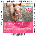 8月8日「ぱちぱちまつ毛の日」に異色コラボが実現！！