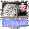 8月8日「ぱちぱちまつ毛の日」に異色コラボが実現！！
