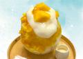 かき氷専門店『しろいくも』梅田より『果実蜜』を贅沢