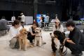 猛暑でも大型犬と快適に遊べる。WHATAWONが室内イベン