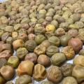 梅酒の「梅」と日本茶の「茶殻」を酒に。麒麟山酒造×