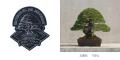 TRADMAN'S BONSAI × NEW ERA(R) 世界的ヘッドウェア