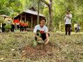 世界遺産ミーソン遺跡群にモリンダの植樹を実施 世界遺産ミーソン遺跡群にモリンダの植樹を実施