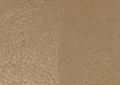 日焼け止めブランド「by365」発売半年で前年比257% 日焼け止めブランド「by365」発売半年で前年比257%