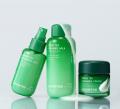 【INNISFREE】日中の
