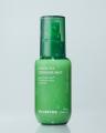 【INNISFREE】日中の