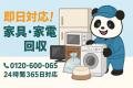 【佐倉市・9月限定キャンペーン】台風シーズン前に庭