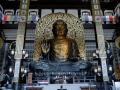 夜の恐竜博物館を貸し切り！「恐竜博物館プレミアムナ