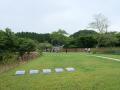 【岐阜県 美濃市】清流長良川を望む里山公園型の樹木