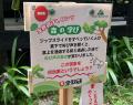 夏休みの自由研究にも活用できる体験型学習プログラム