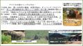 【８月１２日「世界ゾウの日」記念！】認定NPO法人UAP