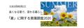 “長すぎる夏”が消費を変える|理想より1.7ヶ月長い現 “長すぎる夏”が消費を変える|理想より1.7ヶ月長い現
