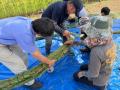 【日本唯一の試み】三重県明和町・斎宮の「国産大麻」