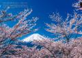 「風景写真としての美しさ」を基準にセレクトした、選