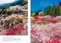 「風景写真としての美しさ」を基準にセレクトした、選