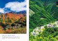 「風景写真としての美しさ」を基準にセレクトした、選