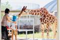 【次回入園半額】夏の思い出から自由研究まで!?「サ 【次回入園半額】夏の思い出から自由研究まで!?「サ