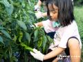 【9月平日限定】3歳～未就学児の宿泊料が無料。農園リ