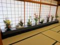 【徳島市】徳島城博物館　令和8年度　阿波おどり期間