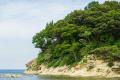 普段は入れない絶景磯場で磯あそび！下田白浜にて２日