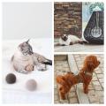 《Life with Cat》～猫と暮らす、心地よい毎日のため