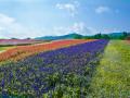 旅行メディア「旅色」で「メナード青山リゾート」が提