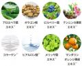 待望の定番化！お客様の声に応えて、大人気〈ナノクリ