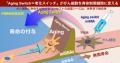 FRONTEOとPURMX Therapeutics、難治性がん領域におけ FRONTEOとPURMX Therapeutics、難治性がん領域におけ